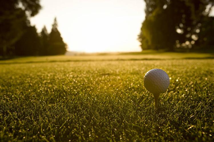 的汇聚点 的汇聚点