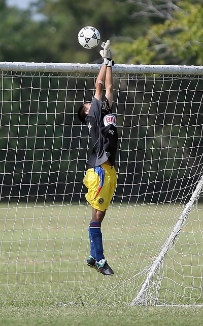 他的精准传 他的精准传