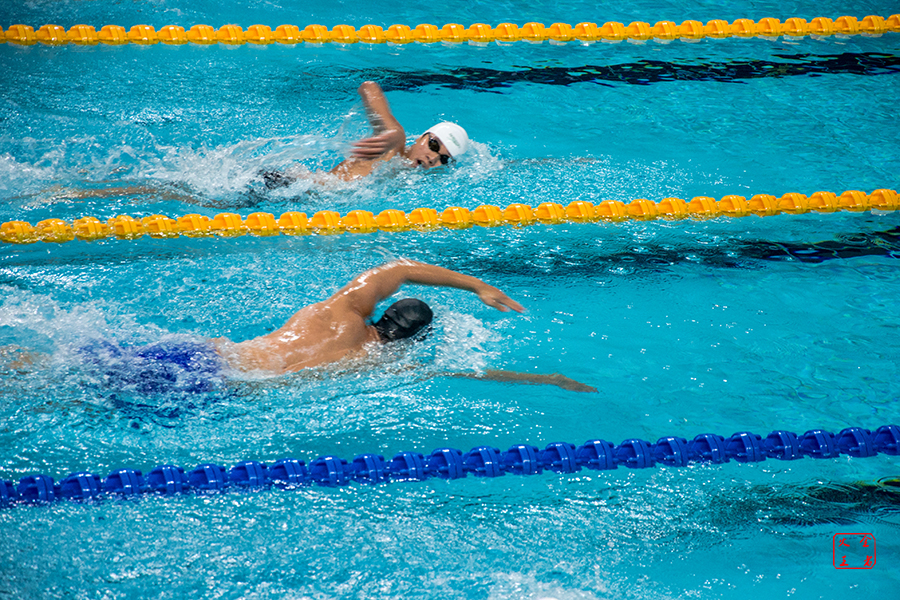 实施摆烂策 实施摆烂策