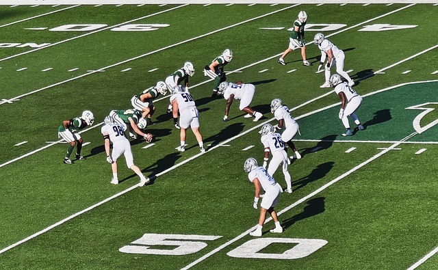 北馬其頓主帥安格洛夫斯基自宣離任.