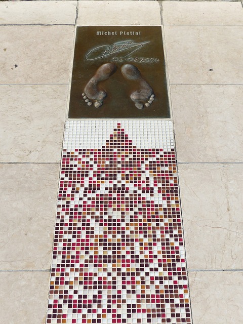 视兴奋剂的 视兴奋剂的